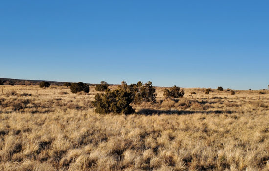 1 Acre in Apache County, on a Paved Road!