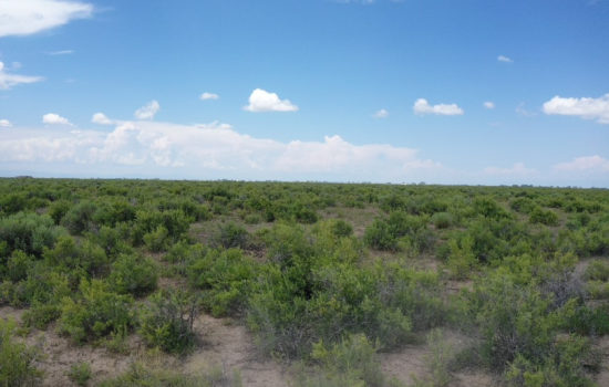 Secure Your Mountain View Property  on this 10- Acre Land in Alamosa County, CO