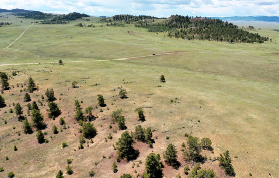 10 Acre Property in the Heart of Colorado