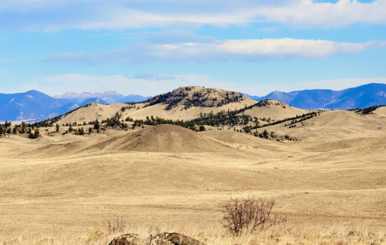 Price Drop! 6.6 Acres in Park County, CO