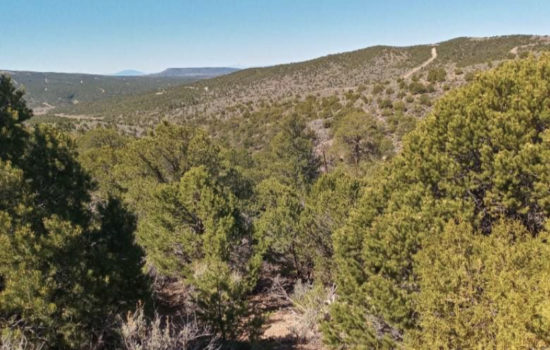 Own 7.2 Acres with Overlooking Views in the Sangre de Cristo Mountains, CO!