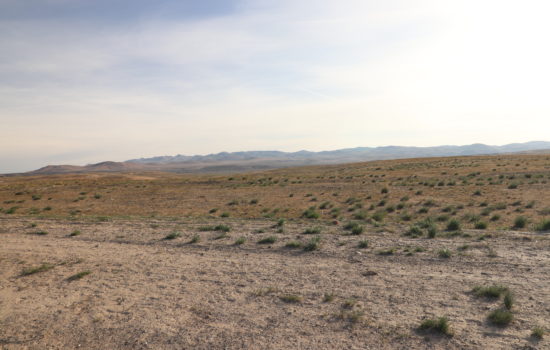 80 Acres of Land  in the Beautiful Nevada Desert Valley, No Restrictions