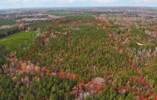 34 Acres Timberland & Good Hunting Spot For Sale in Sussex County, VA
