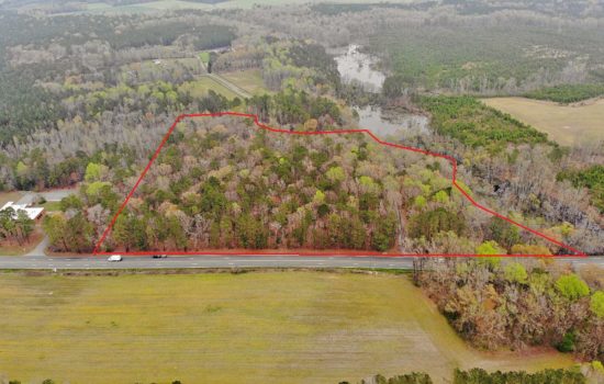 16.7 Acres of Timberland, Farm Lot in Southampton County, VA