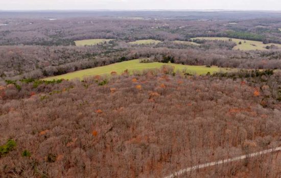 Prime Wooded Lot in Bonne Terre – 3+/- Acres Near Terre Du Lac