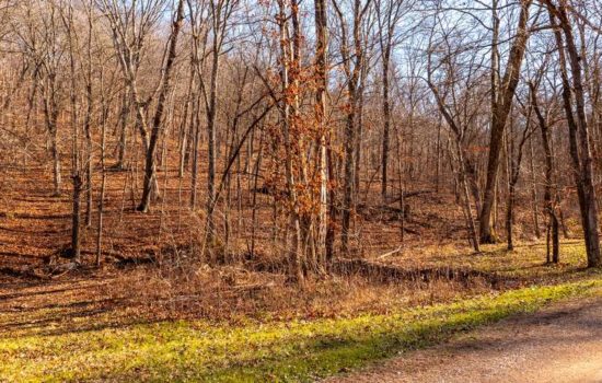 4-Acre Wooded Lot in Eureka’s Meadowbrook Valley Estates, MO