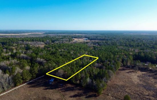 Over 2 Acres Wooded Lot in Crockett, TX!